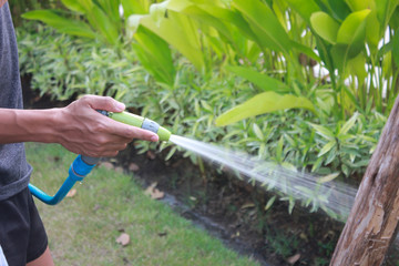 Watering the boy's tree