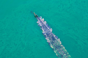Crocodile tail looks paddle resemble double row of scales to the middle of the tail. And the tail end is a single row. Is in water. 