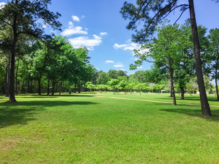 Humble grassy park trail © trongnguyen
