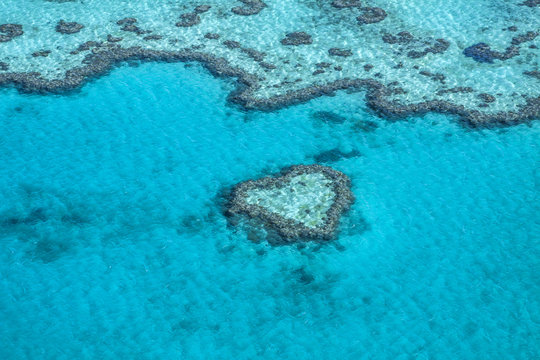 Fototapeta Australia - Queensland - Heart reef in Great Barrier Reef taken from helicopter