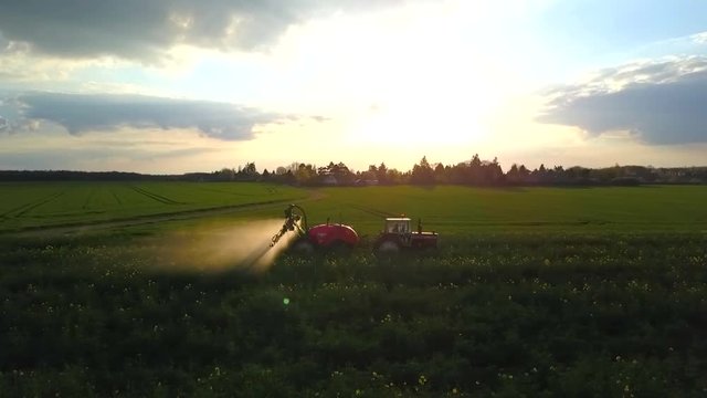 Traitement du colza au coucher du soleil