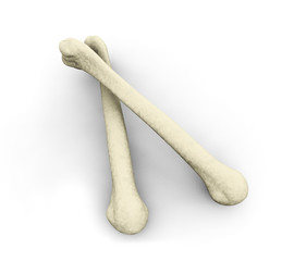 medically accurate 3d illustration of the femur