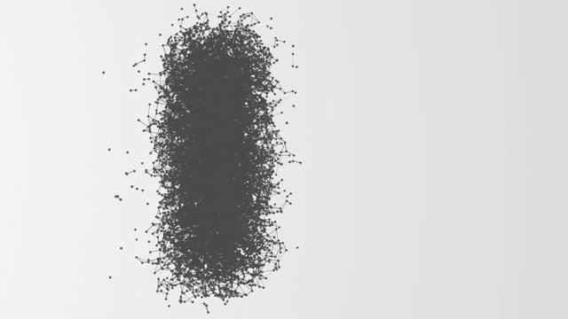 Animation With Paragraph