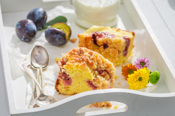 Delicious and fresh plum pie in sunny day