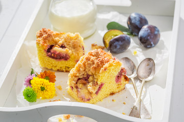 Sweet and homemade plum pie in garden
