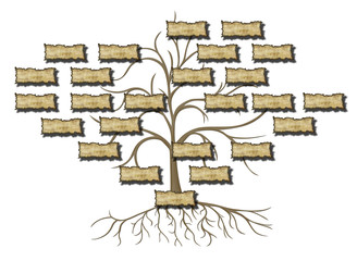 family tree illustration