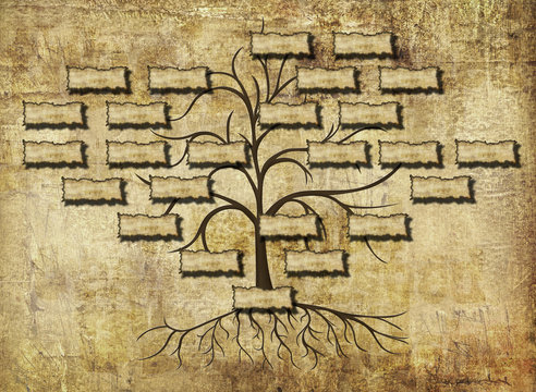 family tree illustration