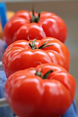 Tree big beef ripe red tomatoes. Selected focus.