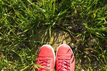 Feet in sneakers on green grass