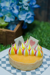 Lemon tart, colorful White Chocolate stripes on lemon tart. Beautiful pattern on a plate on grass.