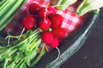 Spring vegetables-cucumber, radishes, zucchini on black background