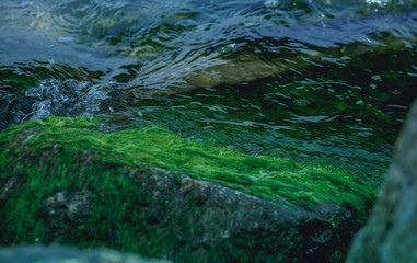 green moss texture, background. beautiful summer sand beach and sea surf. Stones and waves / Baltic Sea. Foamy wave Poland.
