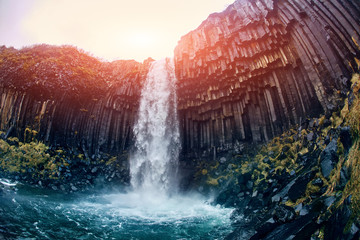 Obraz na płótnie Canvas Svartifoss Black Fall , Skaftafell, Iceland. Dramatic waterfall surrounded by dark basalt lava hexagonal columns.