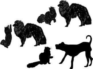 cat and dogs isolated on white background