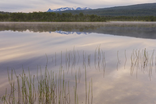 Pink clouds of the midnight sun reflected in the clear water of a swamp, Bogen, Evenes, Ofotfjorden, Nordland