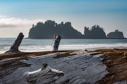 James Island with driftwood on the beach at La Push on the Pacific Northwest coast, Washington State