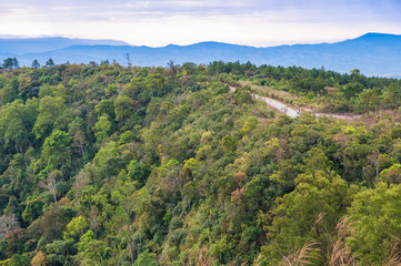Fototapeta na wymiar Walk way in forest on green mountain, Thailand.