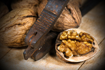 Old Nutcracker with Walnuts