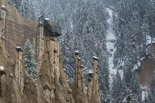Perca/Percha, South Tyrol, Italy. The Earth Pyramids
