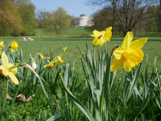 Fototapeta premium Schloss Richmond