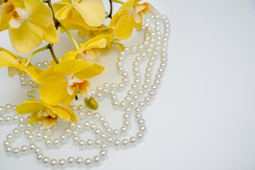 pearl and yellow Orchid on white glass