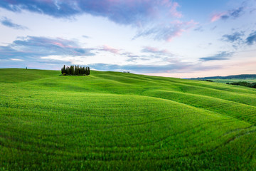 Fototapeta na wymiar Tuscany, spring landscape