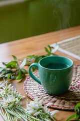 Black tea with lemon in green mug with snowdrops and spring plants background