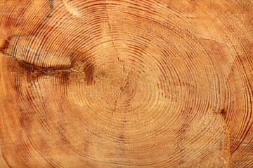 Рисунок на срезе дерева © vasilaleksandrov