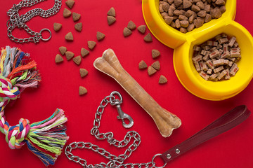 Pet accessories on red background. Top view