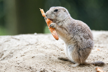 Mir schmeckt es