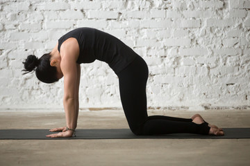 Young yogi woman practicing yoga concept, standing in Cat exercise, Marjaryasana pose, asana paired...