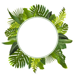 Tropical Jungle Leaves Background