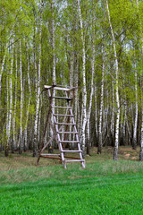 ambona myśliwska na skraju lasu © robert6666