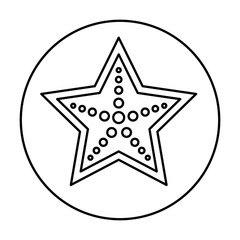 star fish isolated icon vector illustration design
