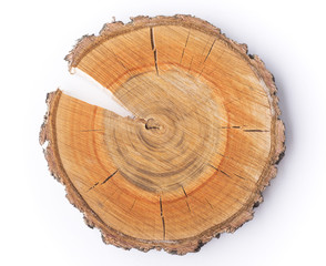 Fototapeta premium woodcut cracked slice