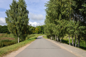 Asphalt road in the country