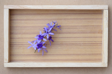 Bunch of Sandpaper vine flower on wooden frame background, top view with empty space for text.