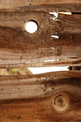Fototapeta premium Natural Wooden Texture Background
