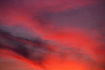 Sunset bright colorful background