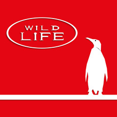 Penguin on a red background with the inscription 