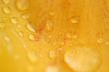Water drops on the flower petal