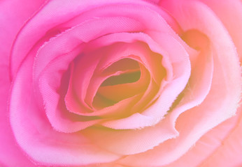 abstract rose