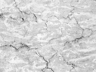 Fototapeta premium vintage wall painted, white stone