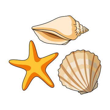 Shell Cartoon Images – Browse 100,341 Stock Photos, Vectors, and Video |  Adobe Stock