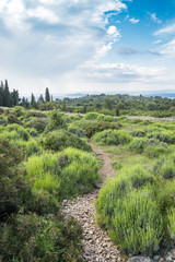 Naklejka premium Awesome landscape from Hvar island, Croatia