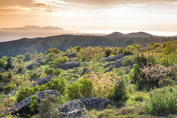 Landscape from Hvar island, Croatia