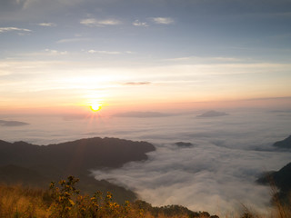 Sea of mist on the Mountain