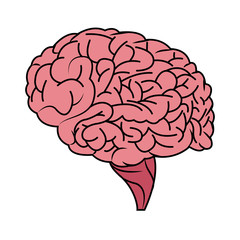 human brain icon image vector illustration design 