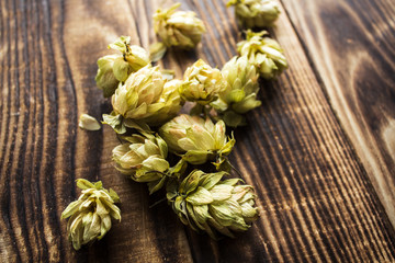 dried hops on wooden background
