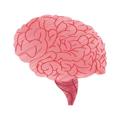 human brain icon image vector illustration design 